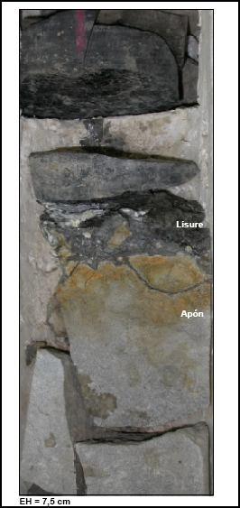 152 Algunas características sedimentológicas hacia el tope de la Formación Apón, no obstante, sugieren que el contacto con la Formación Lisure podría estar asociado con una superficie de exposición y