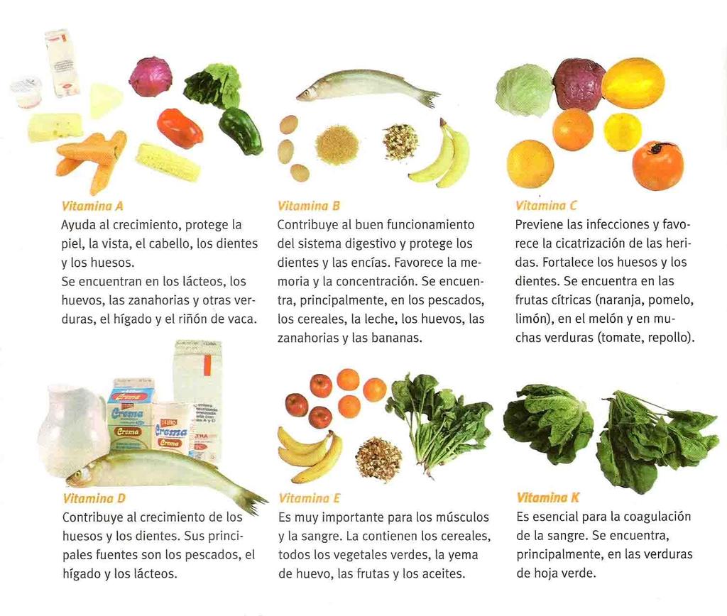 NUTRIENTES III: Vitaminas, agua, minerales. Amigas indispensables.