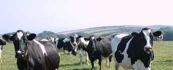 Con el climógrafo o climograma se puede saber qué tipo de ganado es el apto