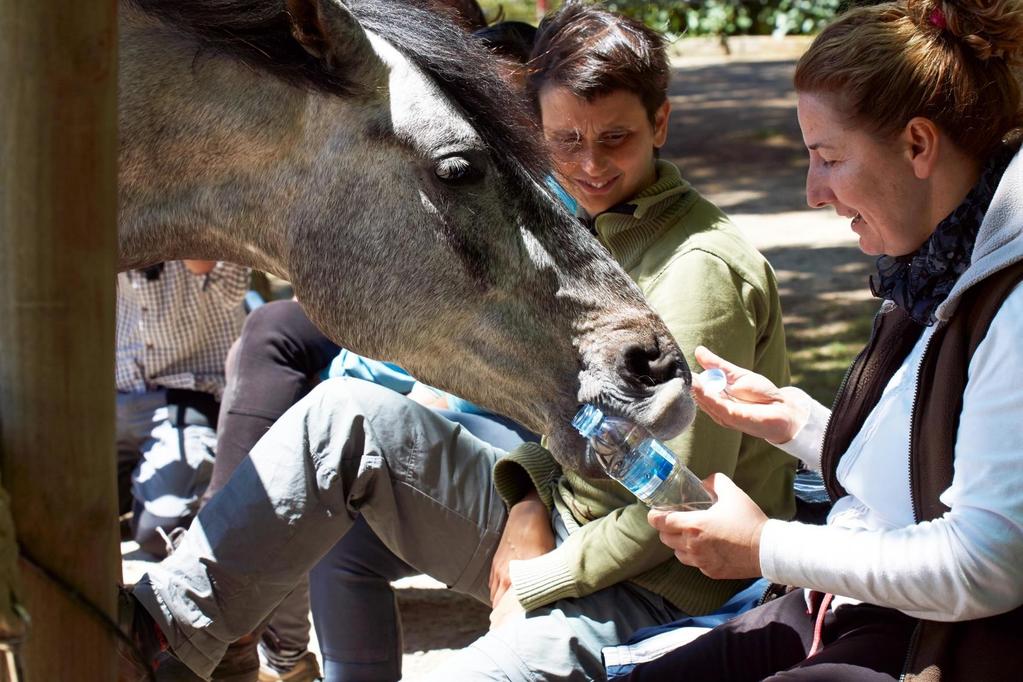 NIVEL I Fechas: 5-6-7 de Junio El caballo en estado natural y consecuencias de la domesticación. Órganos sensoriales: como son los sentidos del caballo.