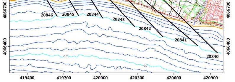 inundación (lineas continuas verticales) para el perfil real correspondiente al punto IOLE 20840.