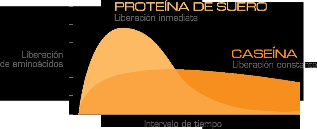 Proteína láctea: Liberación de proteína inmediata y