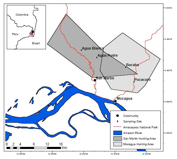Figura 1.2 Localización de las áreas de cacería de las comunidades Tikuna de San Martín y Mocagua.
