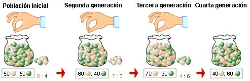 El proceso mediante el cual los eventos fortuitos cambian las frecuencias de alelos se llama deriva genética.