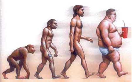 EVOLUCION DEL