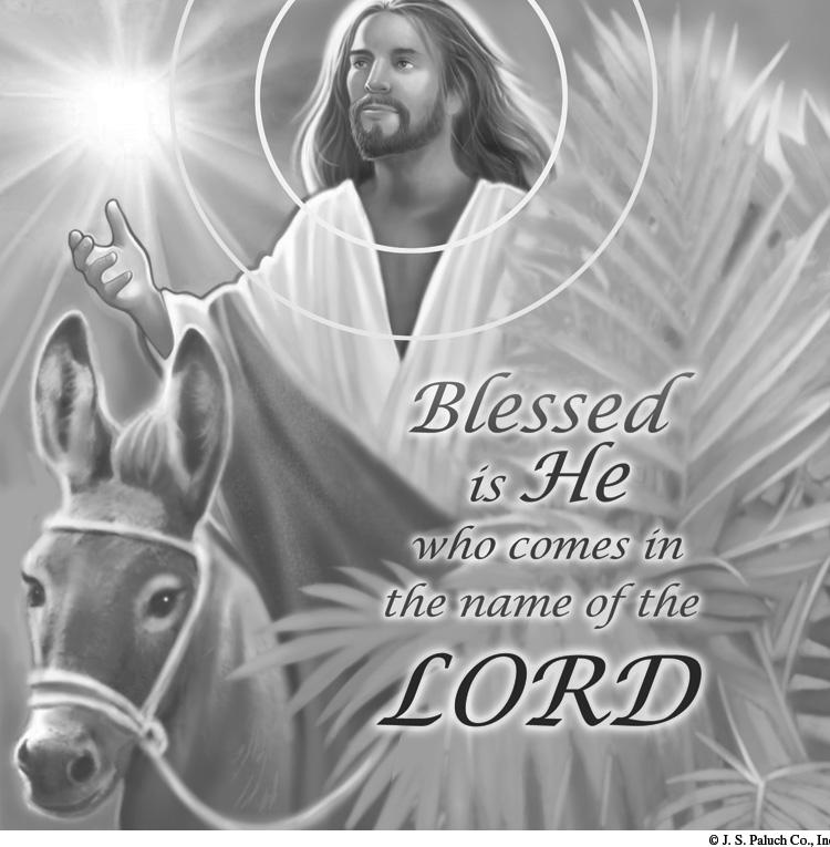 Palm Sunday of the Passion of the Lord March 29, 2015 PROPHETIC ANOINTING The solemnity of today s readings invites us into silent contemplation of the mystery of our redemption.