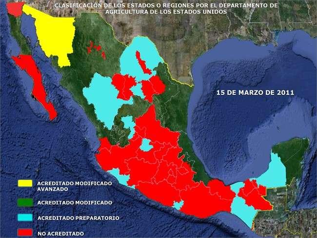 Vaca Becerro en México Situación Internacional Tuberculosis Bovina Fuente: http://www.senasica.gob.mx/?