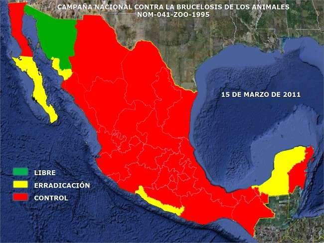 Vaca Becerro en México Estatus Sanitario