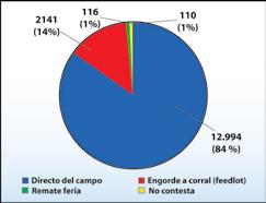La mayoría de los animales procedía directo del campo (Gráfico 1), mientras que el 14% provenían de engorde a corral (feedlot).