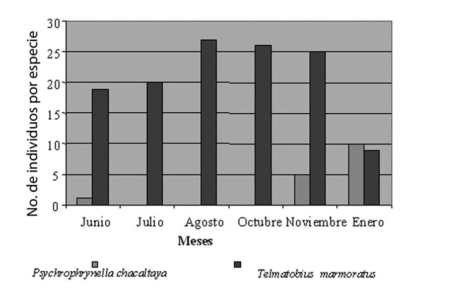C. Cortez-Fernández de Zongo y de manera general los valores son bajos para todas ellas (Tabla 1).