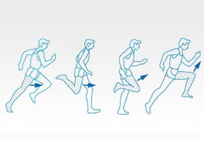 + Recepción: La pierna recibe todo el peso y se flexiona ligeramente, para después actuar como muelle y extenderse hacia arriba.
