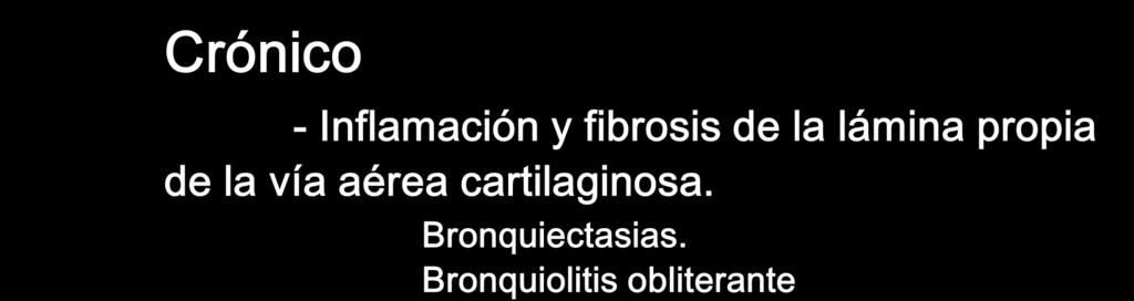 septos alveolares paredes bronquiolares -