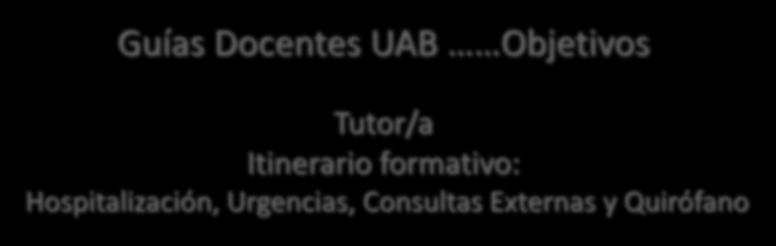 Guías Docentes UAB Objetivos Tutor/a Itinerario