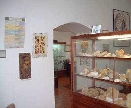 MUSEO PALEONTOLOGICO En el Museo de Paleontología de Josa pueden admirarse más de dos mil ejemplares de más de doscientas especies distintas, cuidadosamente colocados en once vitrinas.