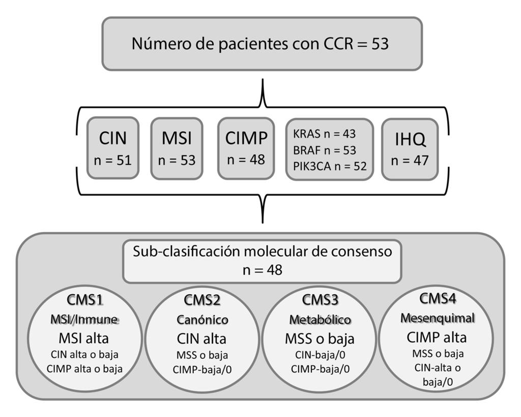 ARTÍCULO DE INVESTIGACIÓN Figura 1. Flujograma de pacientes con cáncer colorrectal disponibles para el análisis de las distintas vías carcinogénicas.