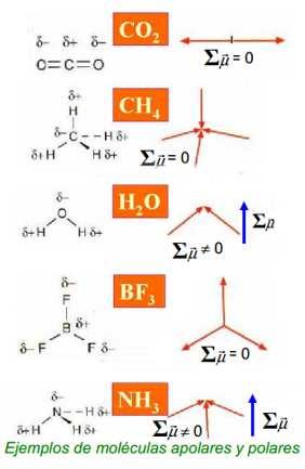 Hay dos teorías que explican las propiedades de los metales: La Teoría del gas electrónico: los metales tienen E.