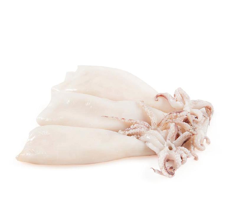Calamar Patagónico Limpio Clean Patagonian Squid Loligo gahi Vainas de calamar limpias (sin piel, sin