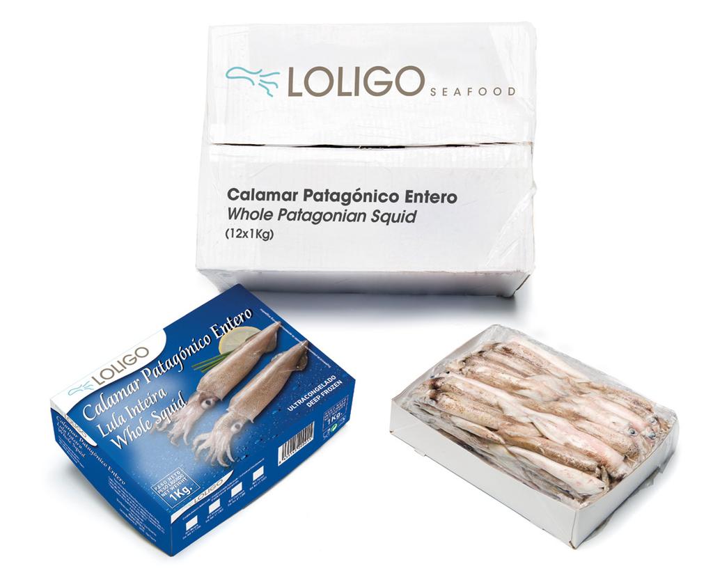 Calamar Patagónico Entero (12x1Kg) Whole Patagonian Squid (12x1Kg) Loligo gahi Calamar patagónico entero, congelado en estuches Whole patagonian Squid frozen in inner cartons A bordo Sea frozen Nº C