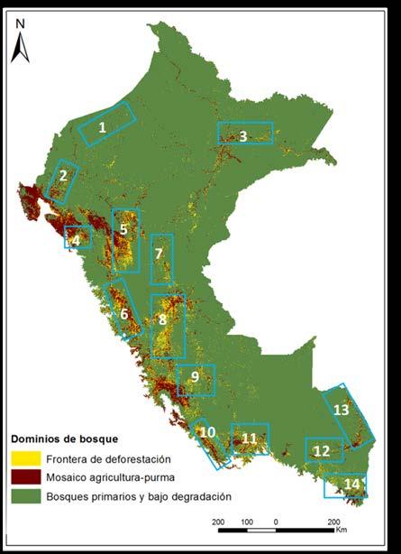 Bosques, entendidos como problema y como oportunidad (+/-) 40% de emisiones de GEI peruanas provienen de la tala y quema de bosques (>