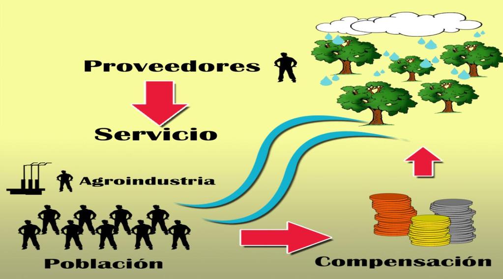 usuarios de un servicio ambiental (agua, conservación de suelos, producción de