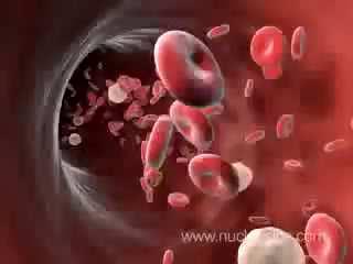Inmunidad Son procesos mediante los cuales el organismo sintetiza o adquiere ya sintetizados anticuerpos en respuesta a una gran cantidad de