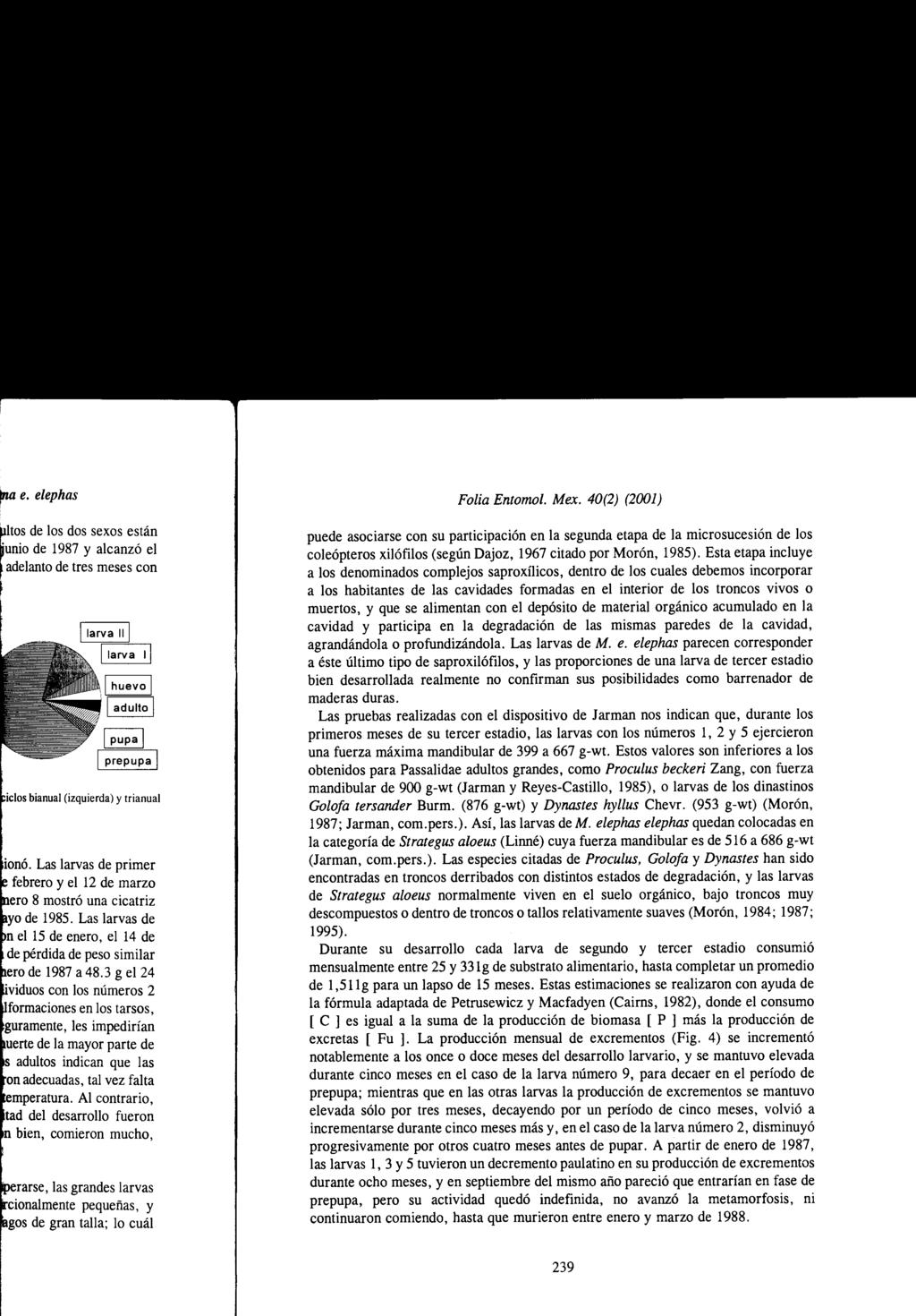 Folia Entomol. Mex. 40(2) (2001) puede asociarse con su participación en la segunda etapa de la microsucesión de los coleópteros xilófilos (según Dajoz, 1967 citado por Morón, 1985).