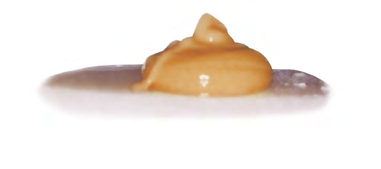 Esta prueba práctica muestra un material de impresión aplicado a una superficie dentinaria húmeda.