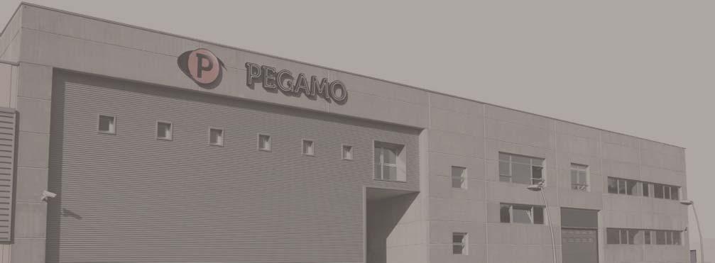 GRUPO PEGAMO DESDE 982 En Pegamo Suministro Industrial llevamos desde 982 vendiendo, alquilando y reparando