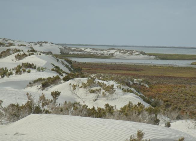El Diagnóstico General de las dunas costeras
