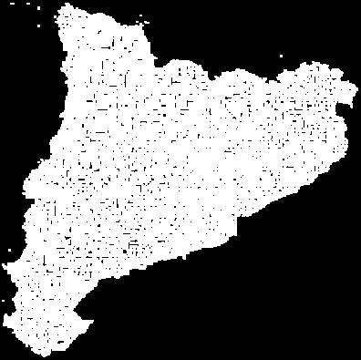 diputacions catalanes i la Generalitat de Catalunya com a membre observador.
