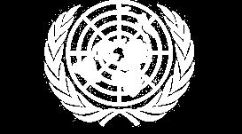 Naciones Unidas INICIATIVA DE DESARROLLO AUDITORÍA DE DESEMPEÑO DE LA PREPARACIÓN