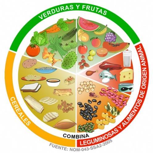 EL PLATO DEL BIEN COMER La estrategia para la difusión de una alimentación correcta en la población mexicana es el Plato del Bien Comer.