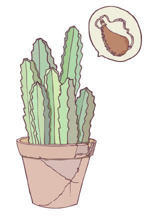 cactus 6 x 9 Ilustración y dirección: