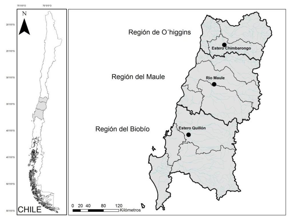 ISSN: 0719-3726 52 Resultados y Discusión Se registró la presencia de A.donax en tres regiones diferentes del centro y sur de Chile (Fig.