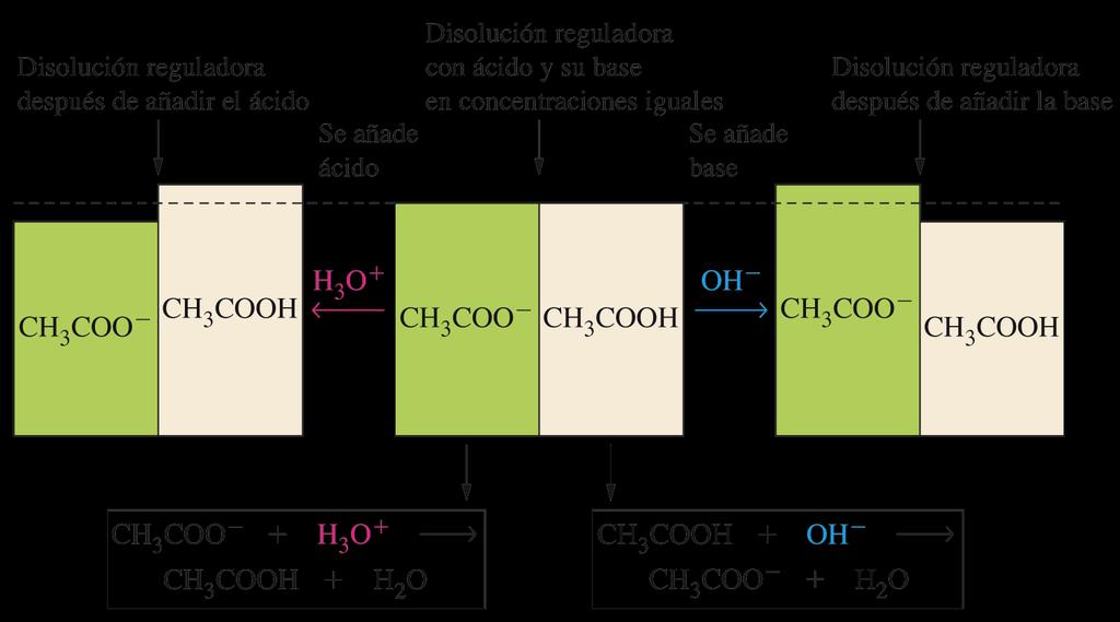 Efecto del ion común y disoluciones reguladoras Una disolución reguladora ofrece su máxima capacidad reguladora (mayor amortiguación del ph) del ph cuando las