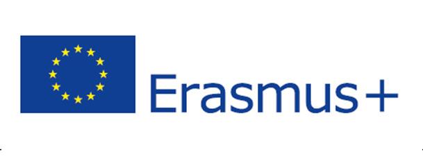 Programa Erasmus+ SMP Empresa significa toda organización que realice una actividad económica en el sector público o privado, cualesquiera que sean su tamaño, su estatus jurídico el sector económico
