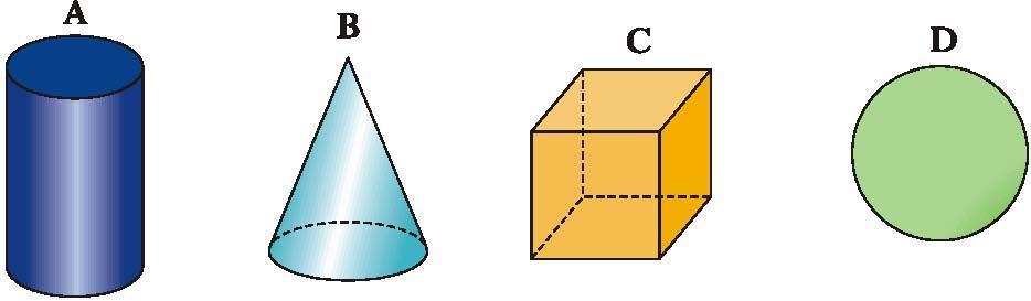 Qué poliedro regular está formado por ocho caras triangulares? Dibuja su desarrollo esquemáticamente. 10.