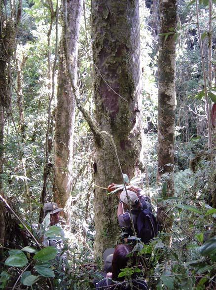 Es un típico Bosque Húmedo Montano, el sector se extiende desde los 1900 hasta los 2450 m sobre el nivel
