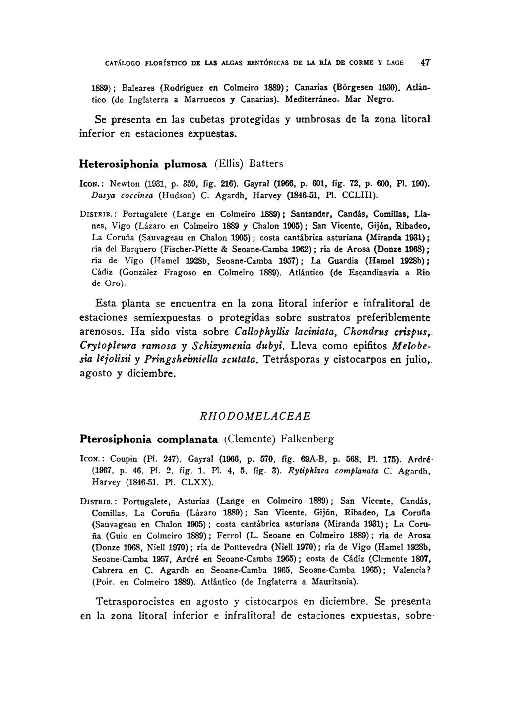 CATALOGO FLORÍSTICO DE LAS ALGAS BENTÓNICAS DE LA RÍA DE CORME Y LAGE 4T 1889); Baleares (Rodríguez en Colmeiro 1889); Canarias (Bórgesen 1930). Atlántico (de Inglaterra a Marruecos y Canarias).