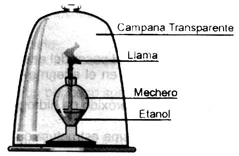 4. Si el mechero contiene 3 moles de etanol y dentro de la campana quedan atrapadas 9 moles de O2, es de esperar que cuando se apague el mechero A.
