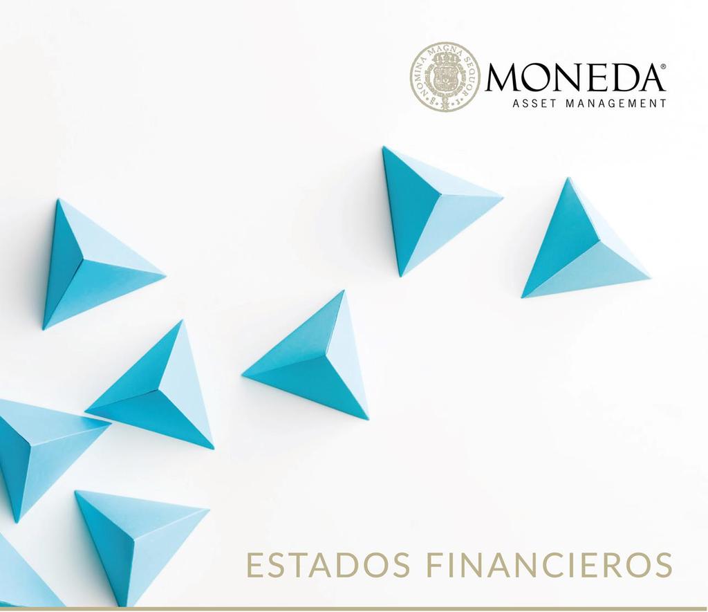Moneda Patagonia ESTADOS FINANCIEROS AL 31 FONDO de