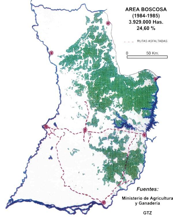 Deforestation in Paraguay P.