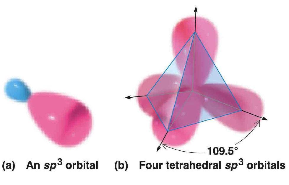 Orbitales híbridos sp 3 Cada Oh sp 3 tiene dos lóbulos de distinto tamaño El signo de la función de onda es + en un lóbulo y en el otro, siendo 0 en el