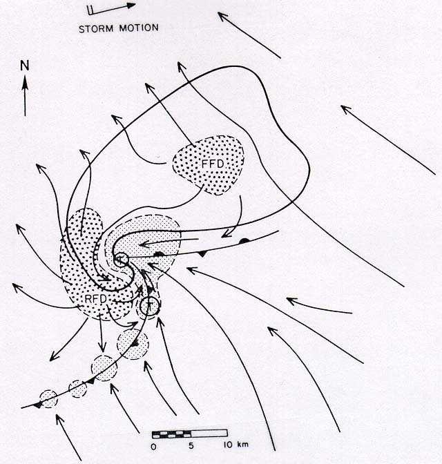 Estructura de una Supercelda en su estado maduro Hook echo Tornado Forward Flank Downdraft Rear Flank Downdraft Mesociclón Frente de Ráfagas