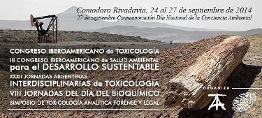 com.ar Congreso Internacional de Docencia e Investigación en Química México, 24 al 26 de Septiembre www.cbi.azc.uam.
