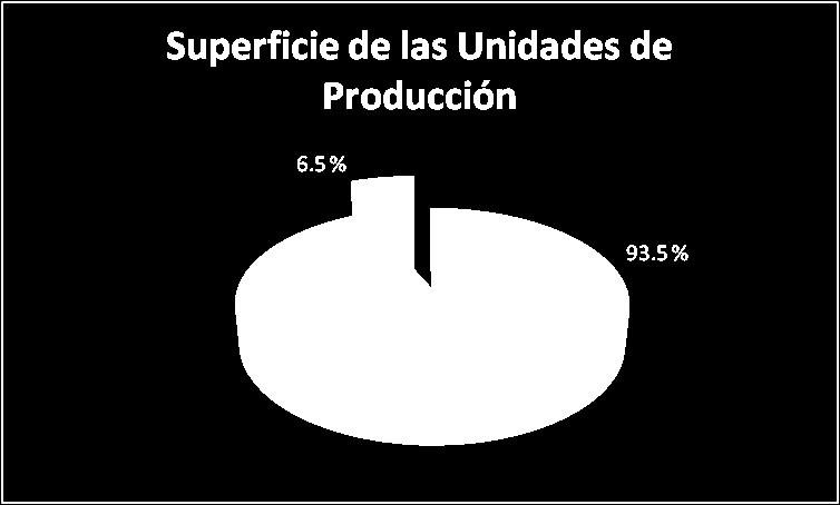 SUPERFICIE TOTAL DE LAS UNIDADES DE PRODUCCIÓN La superficie total de las unidades de producción es de 112 349
