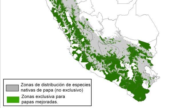 C C. Zonas exclusivas de producción de variedades mejoradas (en verde) donde no hay presencia de papas nativas