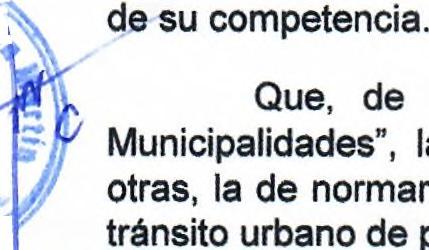 municipalidades son órganos de Gobierno Local que tienen autonomía política, económica y administrativa en los asuntos Que, de acuerdo al articulo 81, numeral 1.