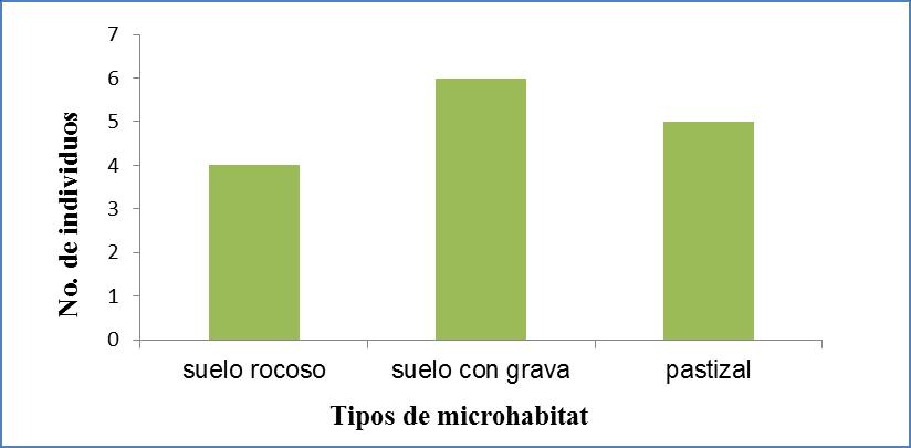 TEORÍA Hasta la fecha son pocos las investigaciones realizadas con la especie Phrynosoma orbiculare, referentes a sus características ecológicas.