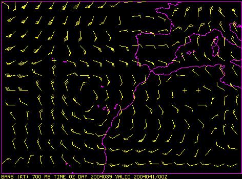 Para el día 10 de Febrero, los campos de viento del modelo HIRLAM muestran que la borrasca que afectará a Canarias se